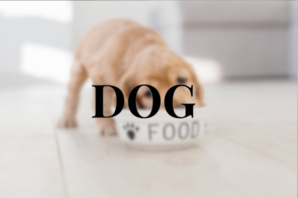 Dog Treats