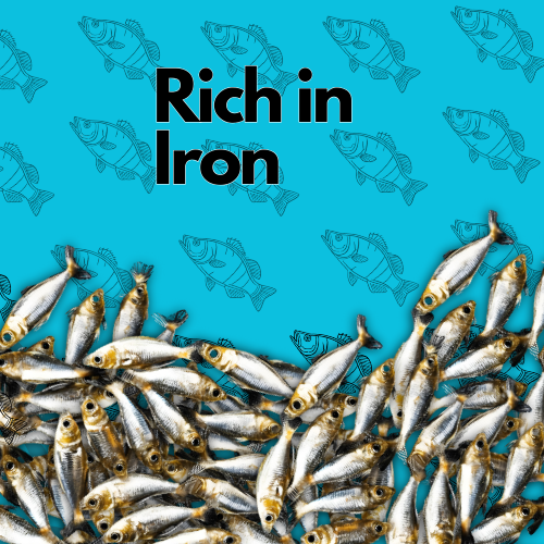 Ocean Crunch